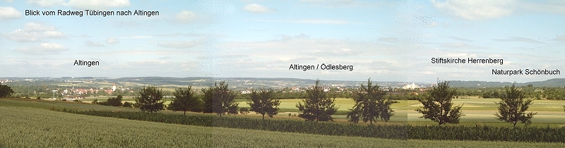 PanoramabildAltingenHerrenberg 801